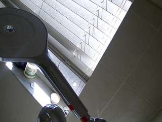 voyeurcam-charleys-bathroom