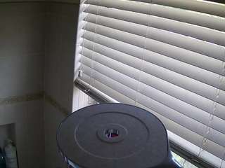 voyeurcam-charleys-bathroom webcam