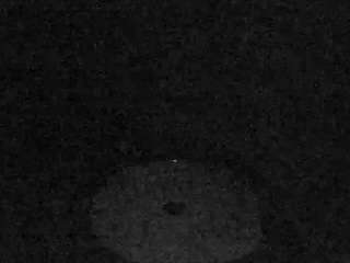 voyeurcam-charleys-bathroom webcam