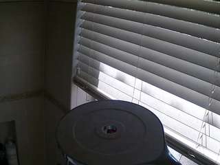 voyeurcam-charleys-bathroom