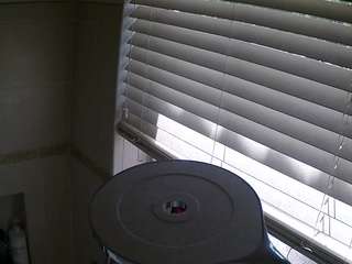 voyeurcam-charleys-bathroom