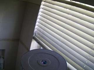 voyeurcam-charleys-bathroom