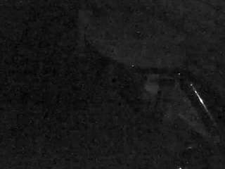 voyeurcam-charleys-bathroom