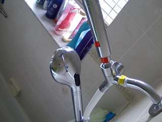 voyeurcam charleys bathroom