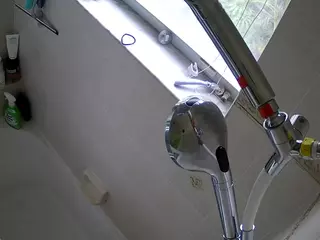 voyeurcam charleys bathroom's Live Sex Cam Show