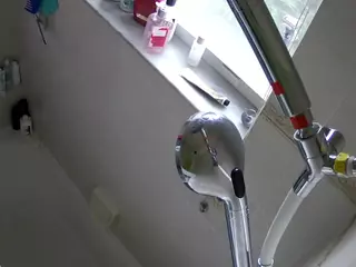 voyeurcam charleys bathroom's Live Sex Cam Show