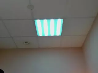Shamika's Live Sex Cam Show