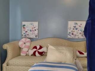 leiaswift webcam model