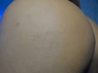 sugarcataleya webcam