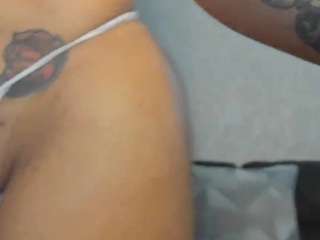 sugarcataleya webcam