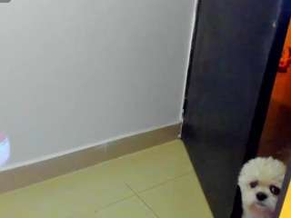 sofiapaz Sex Cam Show