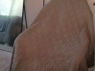 butterflybooty webcam