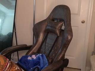 butterflybooty webcam