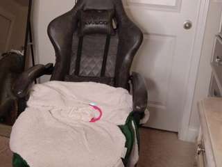 butterflybooty webcam