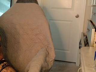 butterflybooty