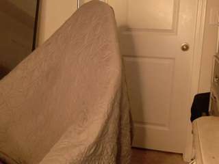butterflybooty