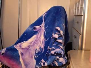 butterflybooty