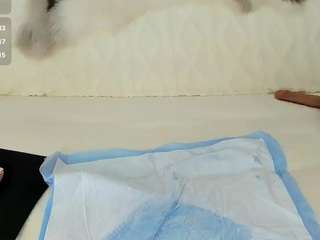 Live webcam model maryelle on Soda Cams