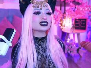 Hayami_Dai