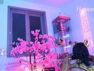 Hayami_Dai