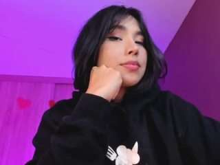 nicollemeyer webcam