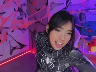 nicollemeyer
