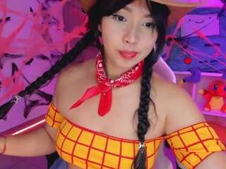 nicollemeyer