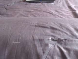 mollyandbrad webcam
