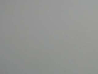 mollyandbrad webcam
