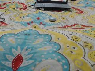 mollyandbrad Live Webcam on CamSoda