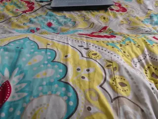 mollyandbrad's Live Sex Cam Show
