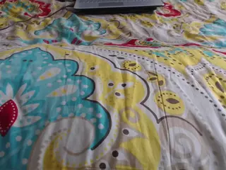 mollyandbrad's Live Sex Cam Show