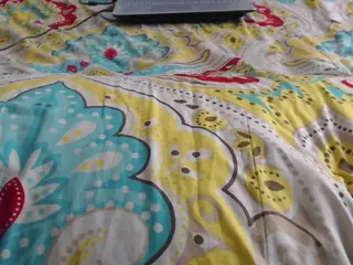 mollyandbrad's Live Sex Cam Show