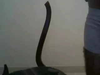 chiquileo89's Live Sex Cam Show