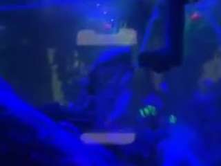 saqui001 Porn