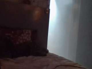 hotarea339