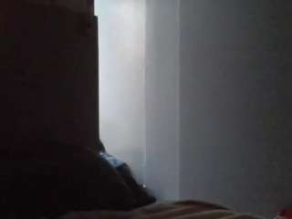 hotarea339
