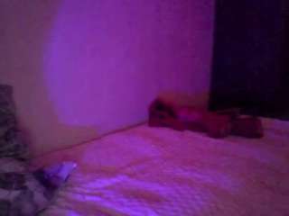 hotarea339