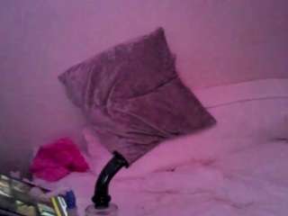 hotarea339