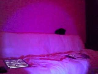 hotarea339