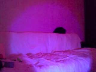 hotarea339