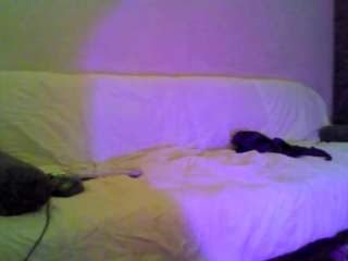 hotarea339 live cam preview