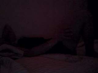 hotarea339