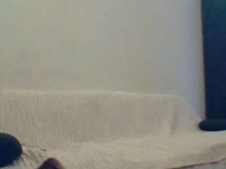hotarea339