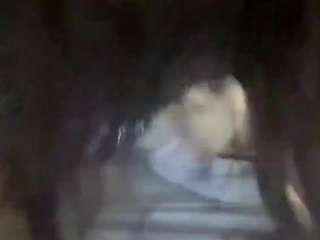 mistressvenus webcam