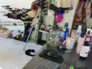 amyhonney webcam model