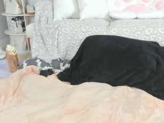 msfitqueen