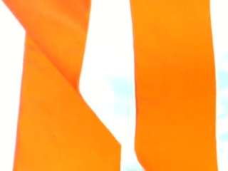 msfitqueen