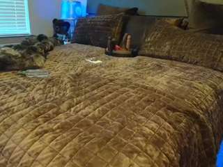 jadacream Live Webcam on CamSoda