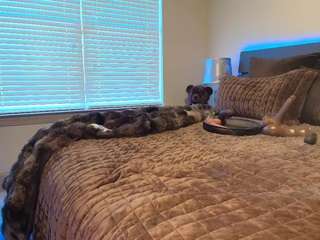 jadacream from CamSoda is Freechat